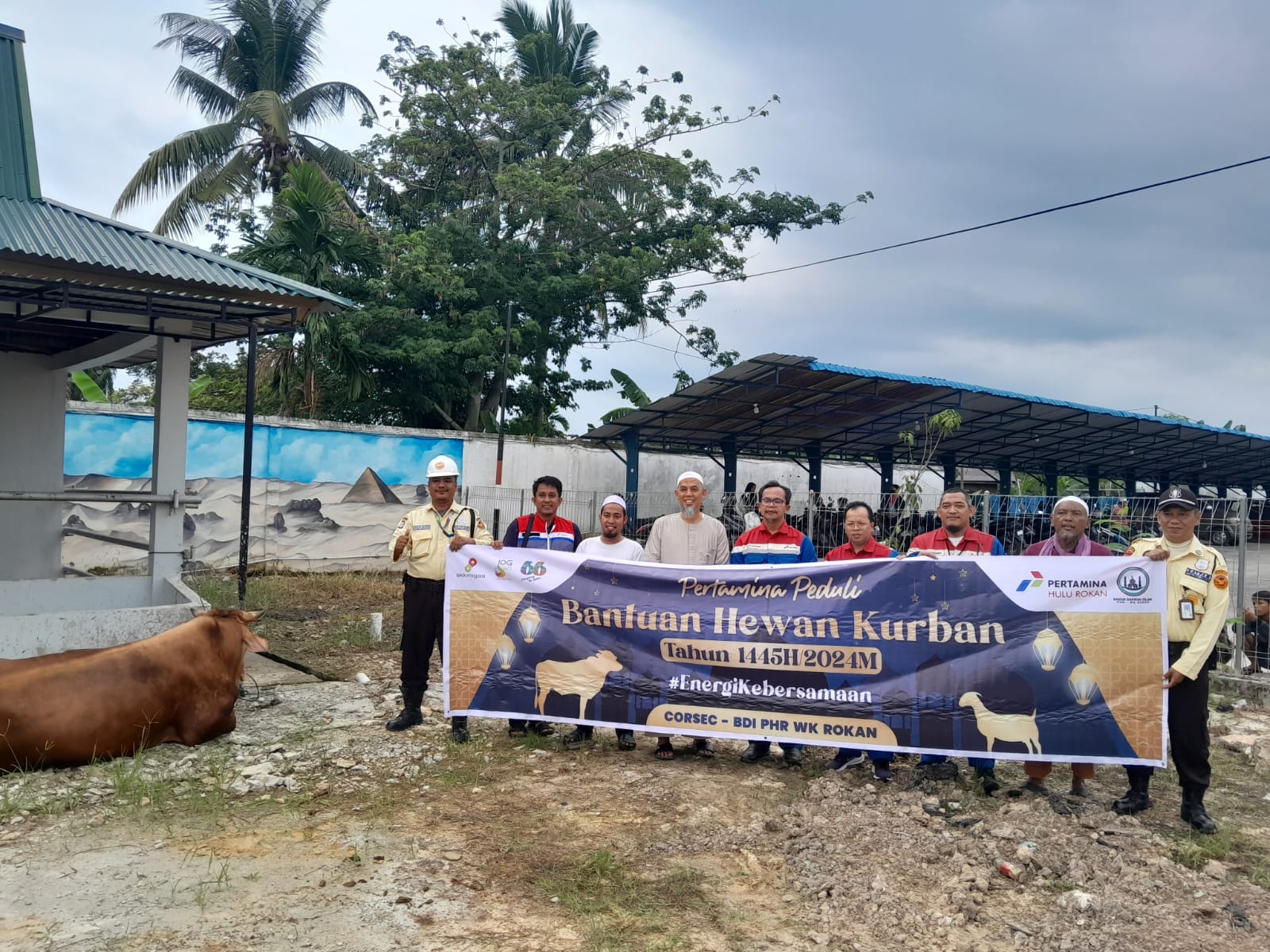 Disebar ke 20 Kecamatan, PHR Salurkan 32 Ekor Sapi Kurban di Blok Rokan